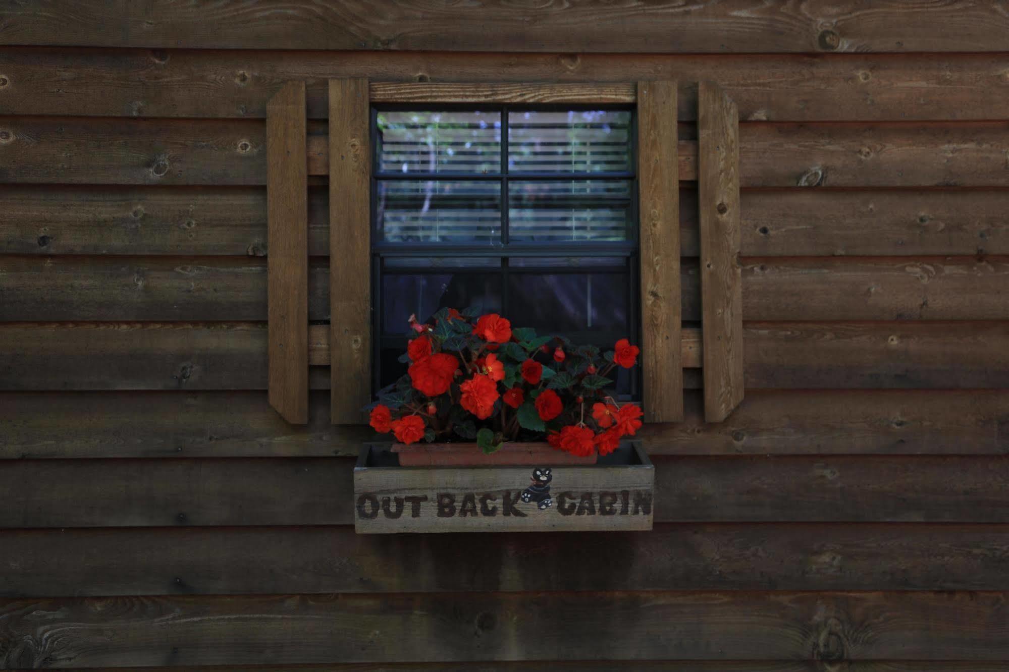 Linville Falls Campground, Rv Park, And Cabins Exterior foto